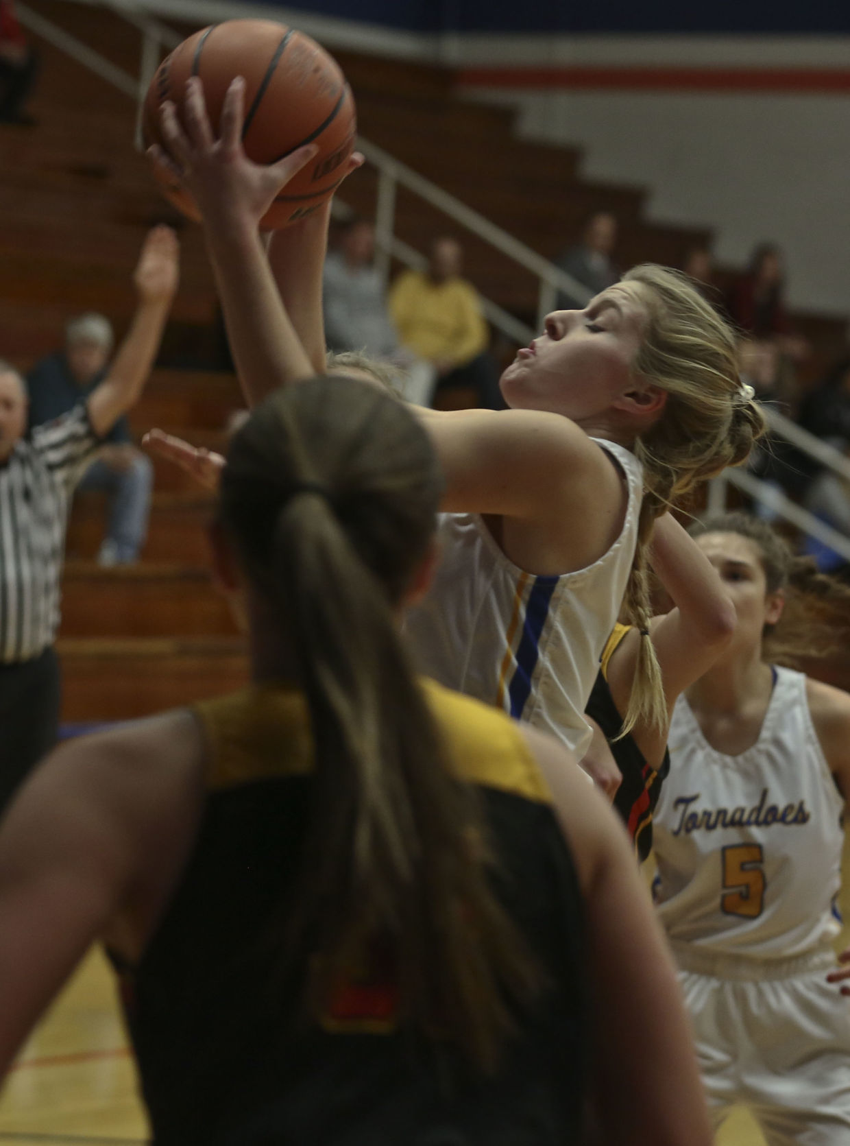 Tri City-Sangamon Valley Warrensburg Latham 19 01.03.19.JPG